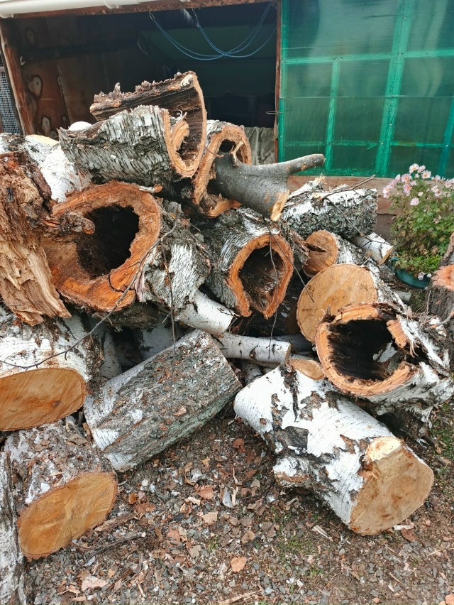 Вот такие ЗАМЕЧАТЕЛЬНЫЕ дрова нам привезли!!!! При прос?...