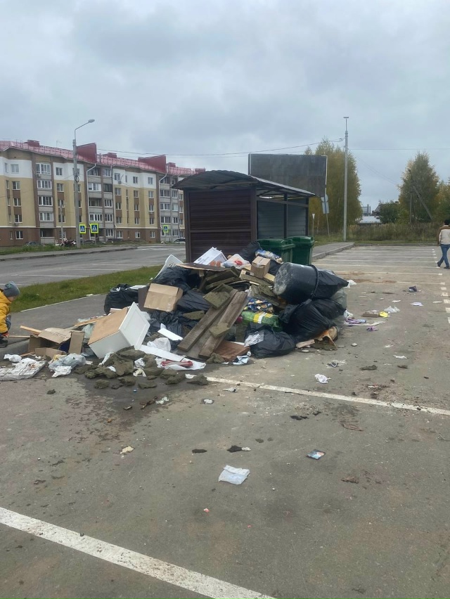 ⚡ Красота в Славном
Славный обрастает мусором, которы...