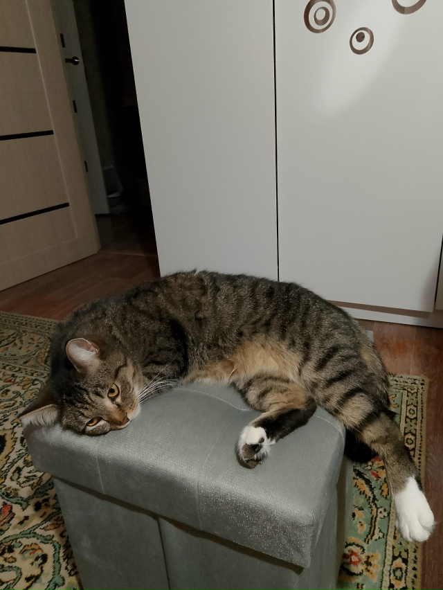 Осенняя хандра 😌