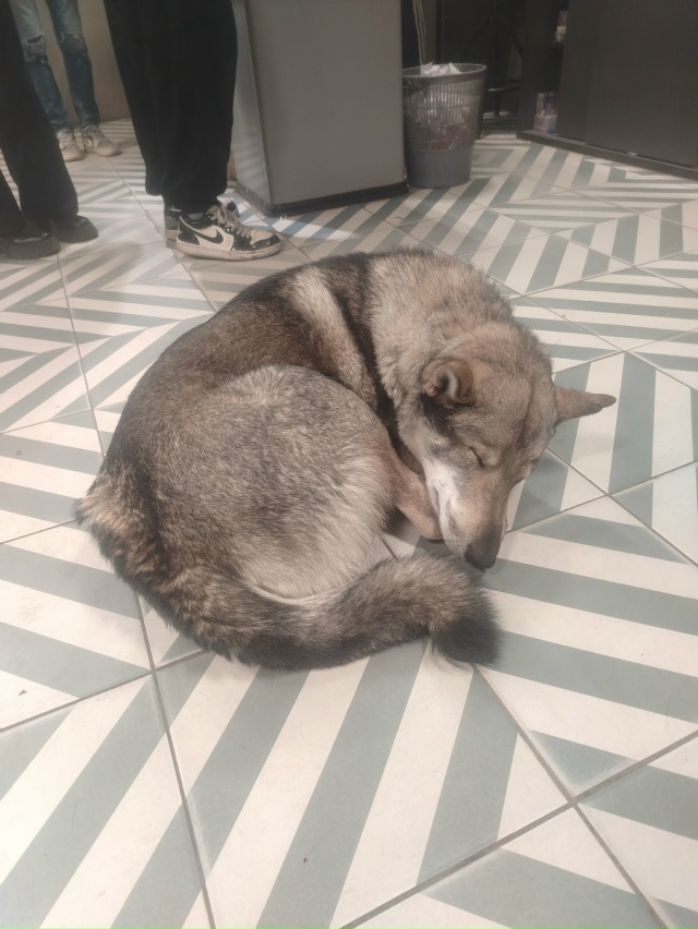 Уважаемые жители города
В пятёрочке на проспекте Лени...