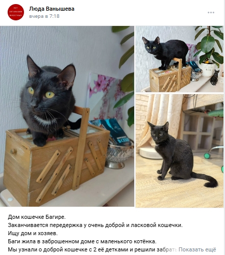 Пост добра. Распространите, пожалуйста.