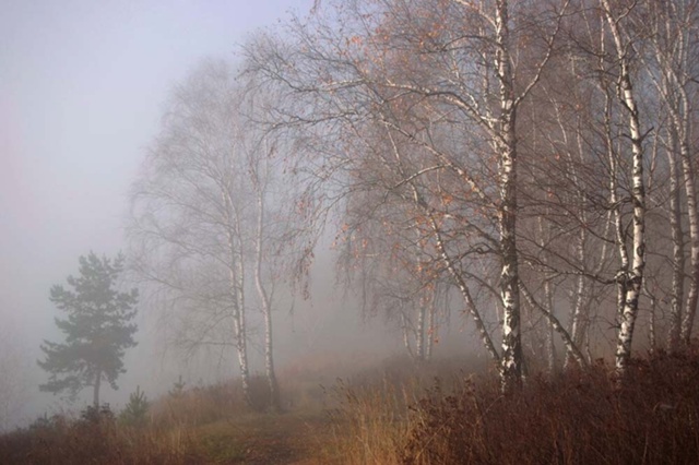По данным Пермского ЦГМС - филиала ФГБУ «Уральское УГМ?...