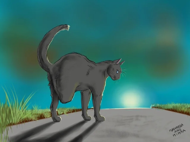 Пепелица: воительница. Попала под машину, но — в отличи...