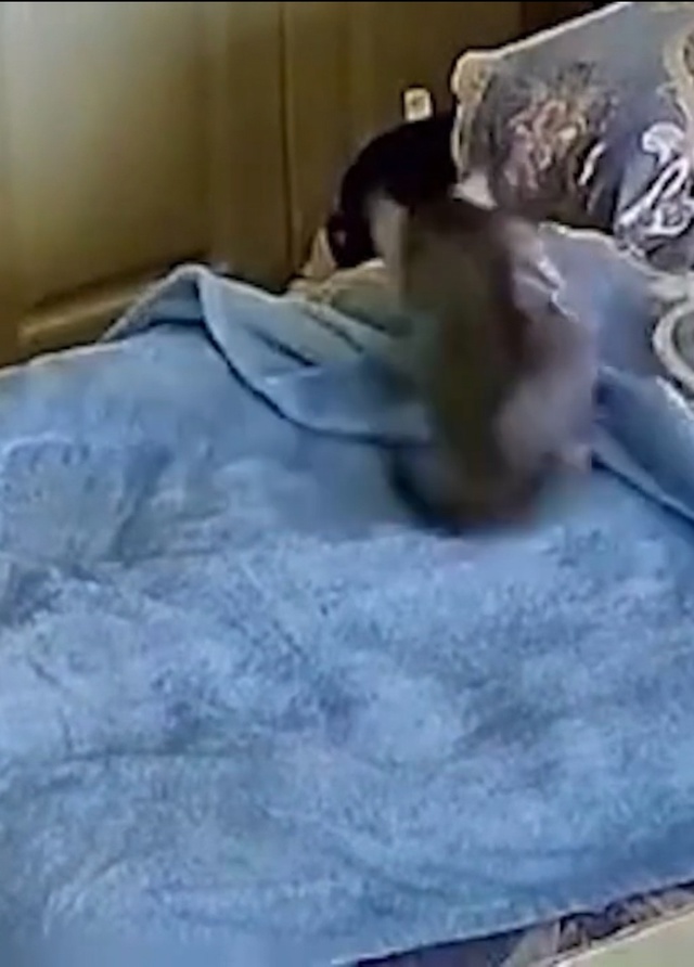 В сети обсуждают одно из самых популярных видео прошло...