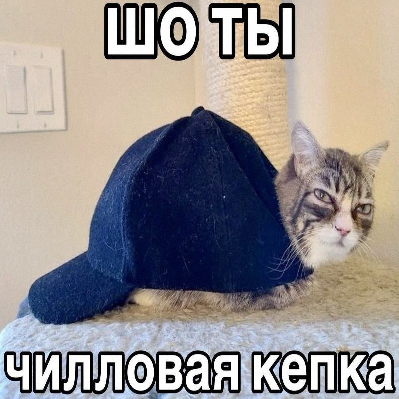 Утренняя подборочка