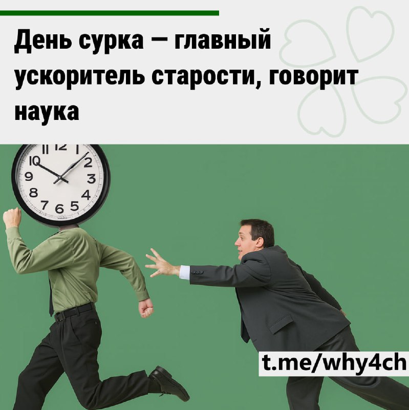 Ученые объяснили, почему с возрастом время «бежит быстрее» — нам не кажется, просто так работает моз