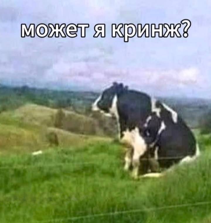 Люди: спокойно выкладывают рилсы про то, как они едят/пердят/изменяют
Я, думающая, выкладывать ли ф