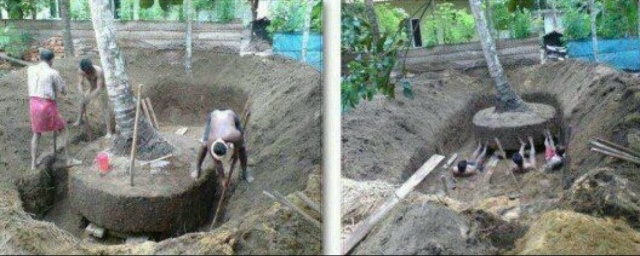 Перестаньте разрешать уничтожать деревья в Ялте! Их и ?...