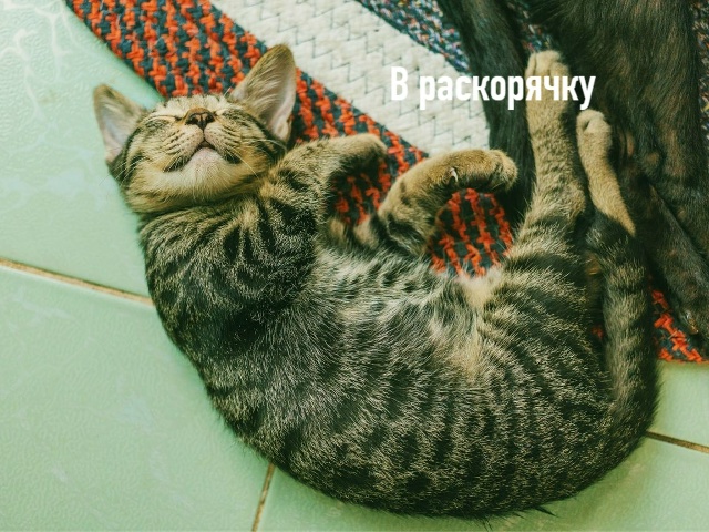 Любимые позы для сна)