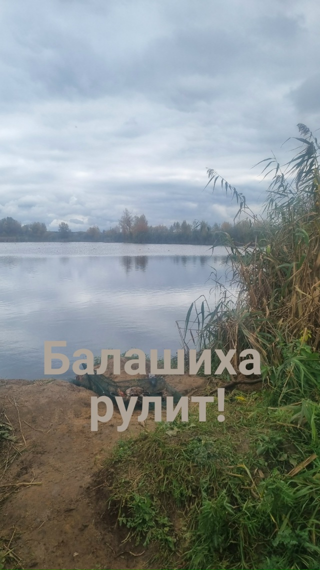 ‼Внимание‼Браконьеры‼
55.741099, 38.063966
На озере в д.Черн?...