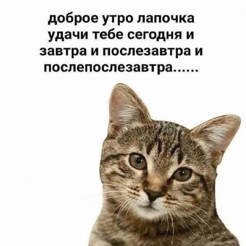 Утренняя подборочка