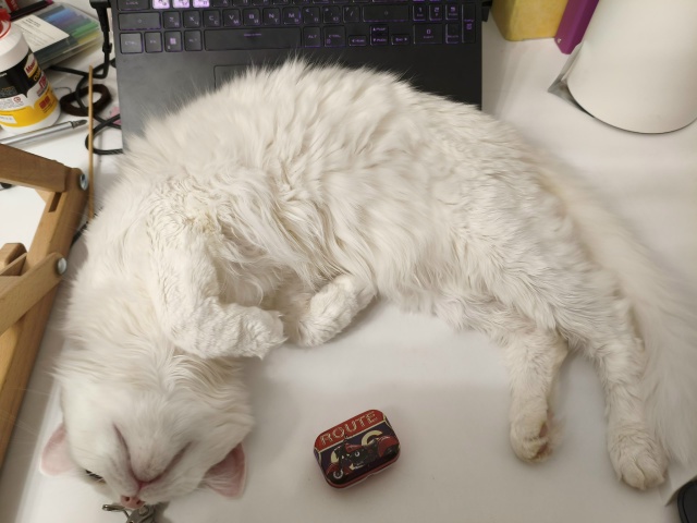 #КотянСутоевич почивать изволит