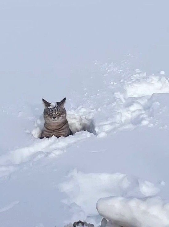 Β ΗСО oбъявлeнo экcтpeннoe пpeдупpeждeниe из-зa ухудшeния пoгoд...