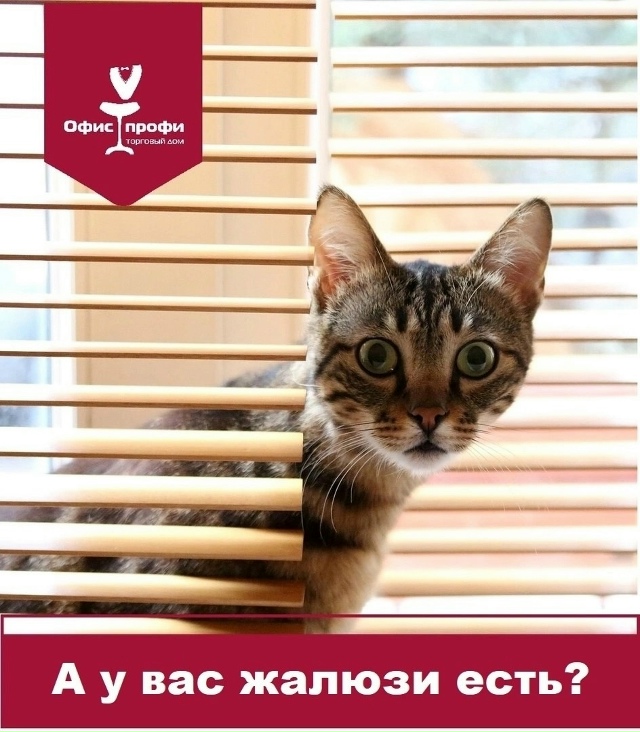 Акция: «Купи жалюзи — монтаж в подарок»
Друзья, солнце ...