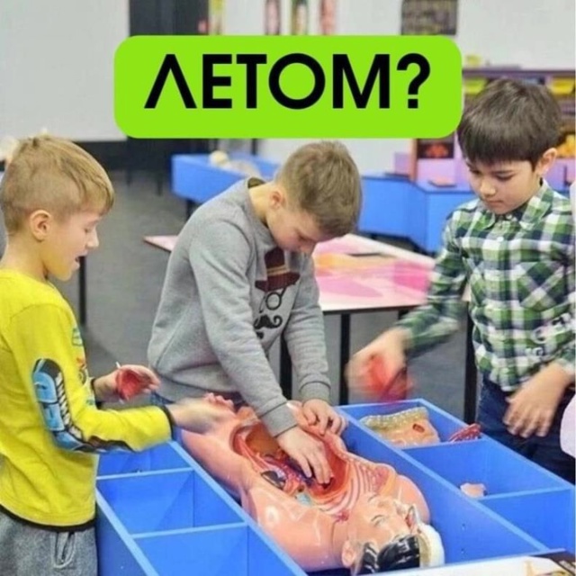 Куда сходить с детьми?
В Екатеринбурге, с 8 августа по 28 ...