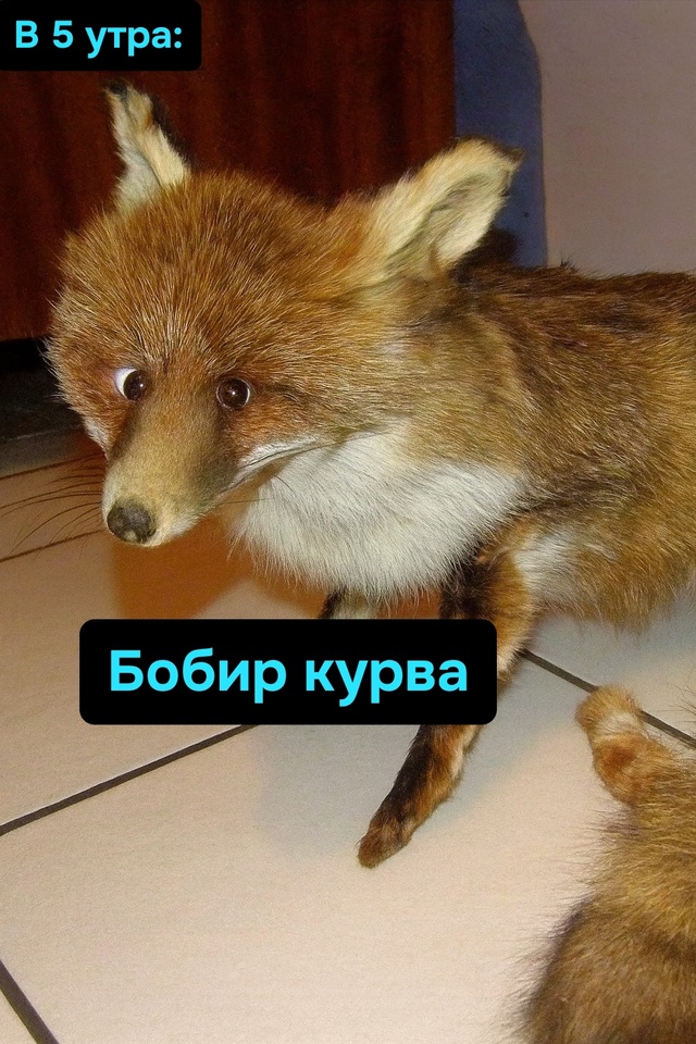 «Завтра на работу» — сказал и проснулся в другой облас...