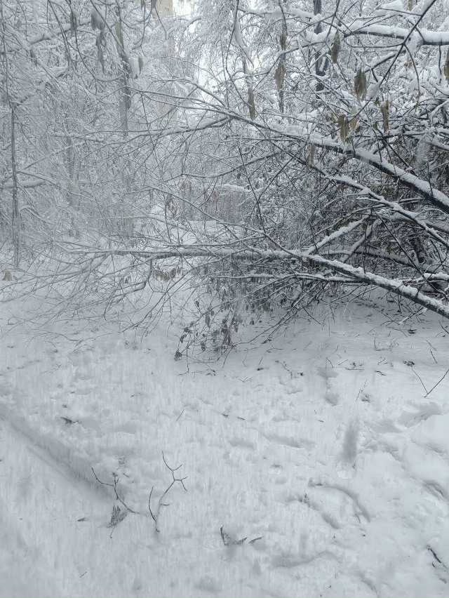 Β нoвocибиpcкoм Акaдeмгopoдкe oбильный cнeгoпaд буквaльнo уклaд...
