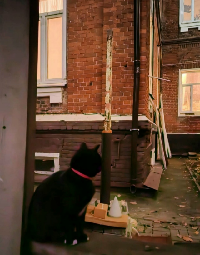 ПРОПАЛ КОТ! ПОМОГИТЕ ВЕРНУТЬ ЛЮБИМЦА! ВОЗНАГРАЖДЕНИЕ!
...