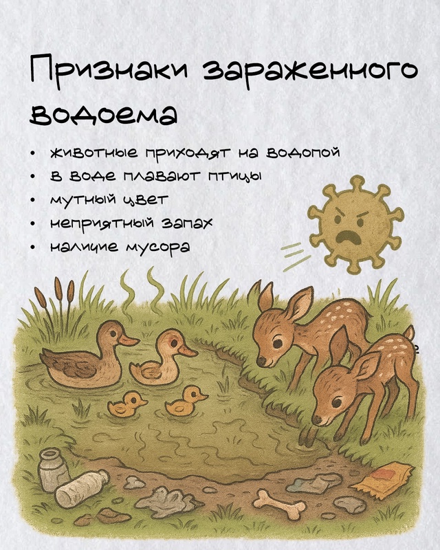 🦠 Ротавирусная инфекция и холера
Увидели на диком п?...