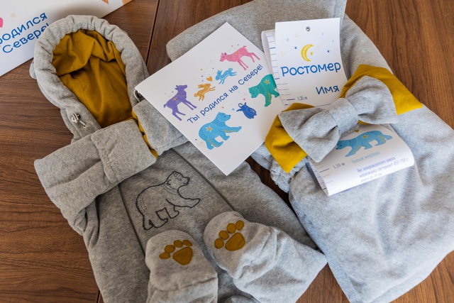 В Мурманской области потратят 3,1 миллиона рублей на по?...