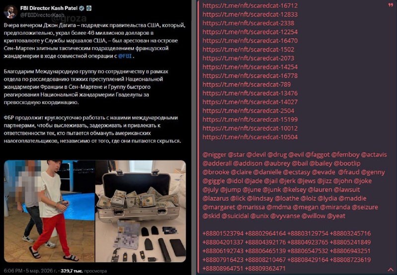 Пупсика, укравшего у правительства США $46млн. арестовали ФБР
Он успел купить большое количество п