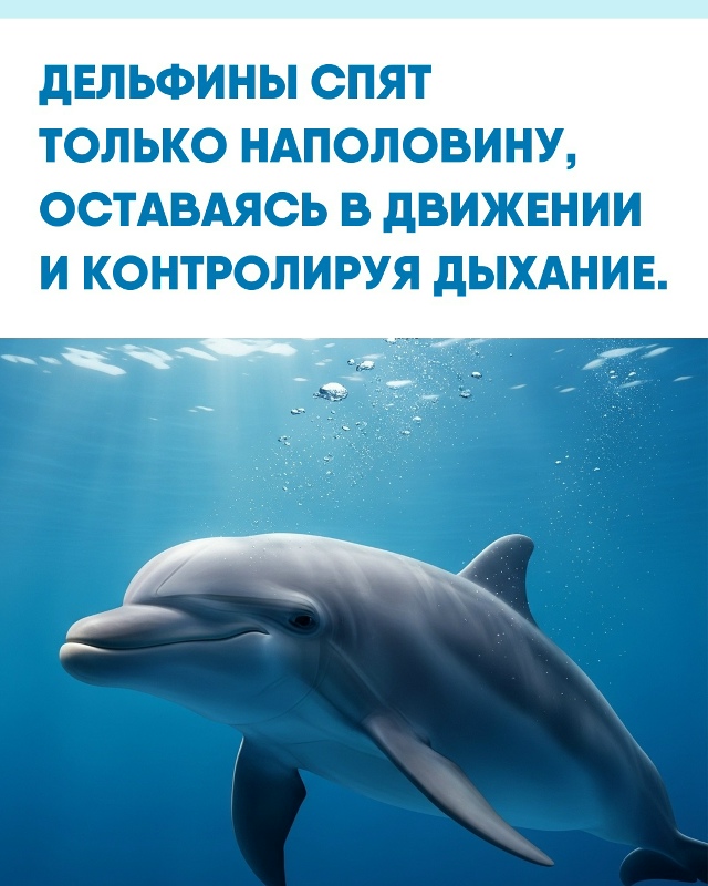Мир под водой устроен не так, как привычная нам суша. Чт...