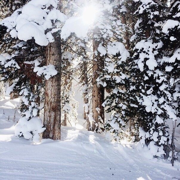 «...И вpоде взрocлые люди, но всё–paвнo мечтaем о чуде»