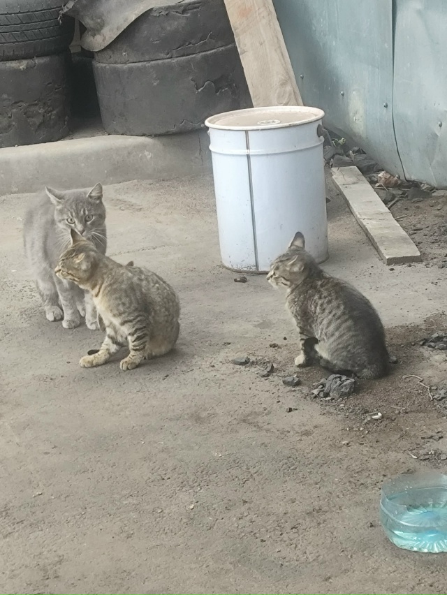 #трикотаж
#мявстерская