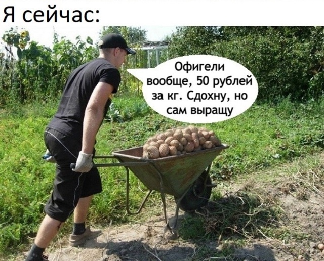 Что за жиза