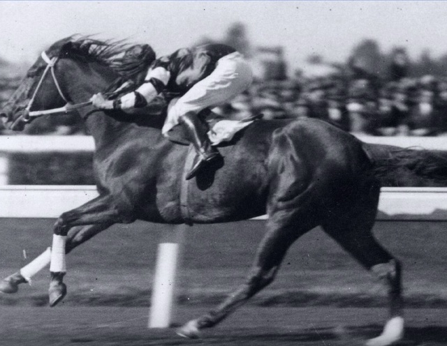 Смертельная скачка.
4 июня 1923 года жокею Фрэнку Хейсу д?...