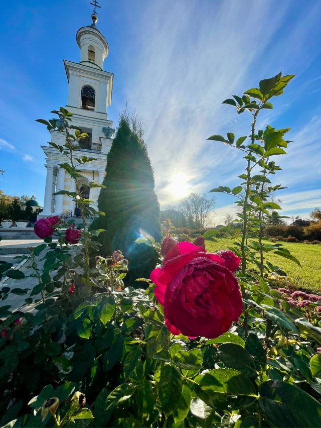 Доброе утро, любимый город ☀️?
