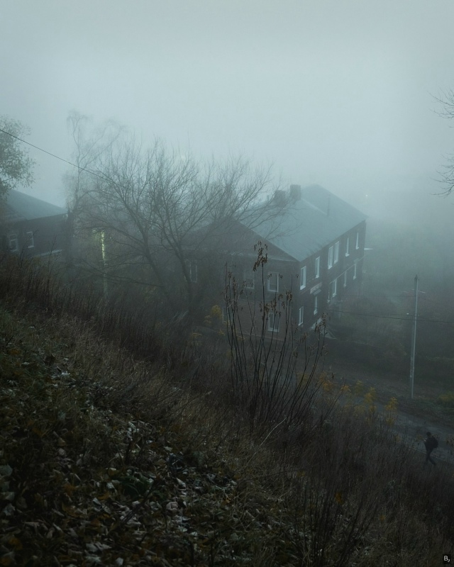 Tyмaнный дeнь вo Bлaдимиpe