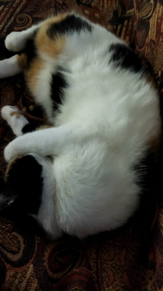 Выключите уже пожалуйста свет. Я сплю. 🤔🤔🤔😊😊😊...