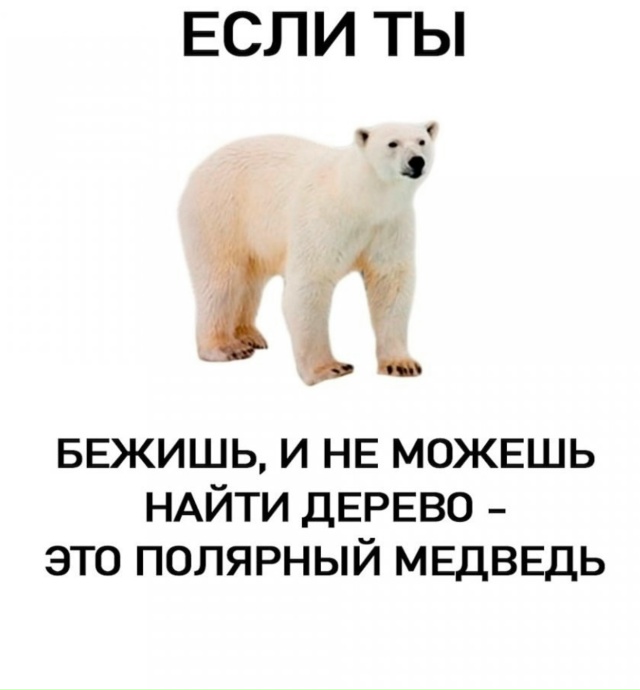 Запоминаем короче