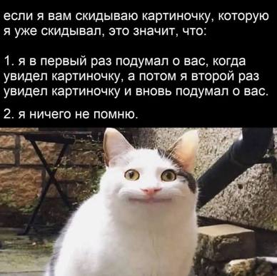 Утренняя подборочка