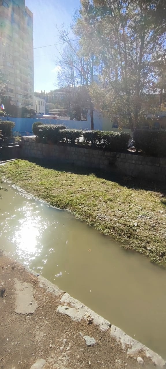 🌿 В Ялте на этой неделе специалисты ДЭУ провели качес?...