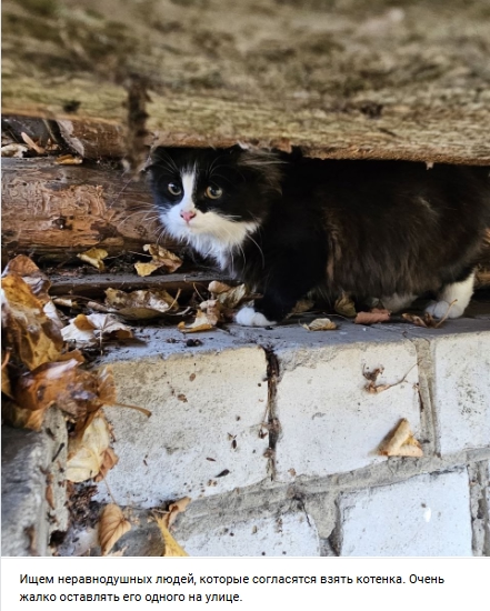 Пост добра. Распространите, пожалуйста.