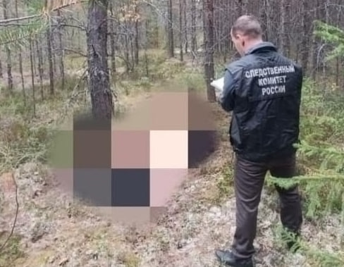 Трагедия в Курганской области: медведь напал на пожило...