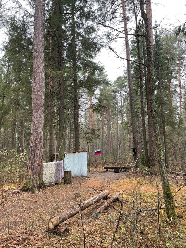 Как вы считаете, если после 30 лет мужчина продолжает жи...