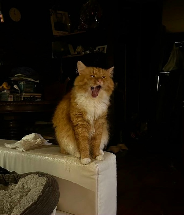 Валера исполняет арию «Всем спать!»