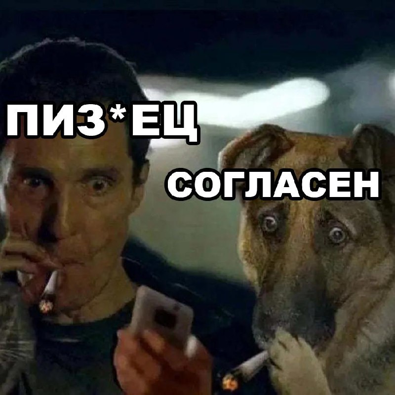 В РПЦ предложили приравнять мат к наркотикам и сажать за него в тюрьму.
Митрополит Евгений заявил,