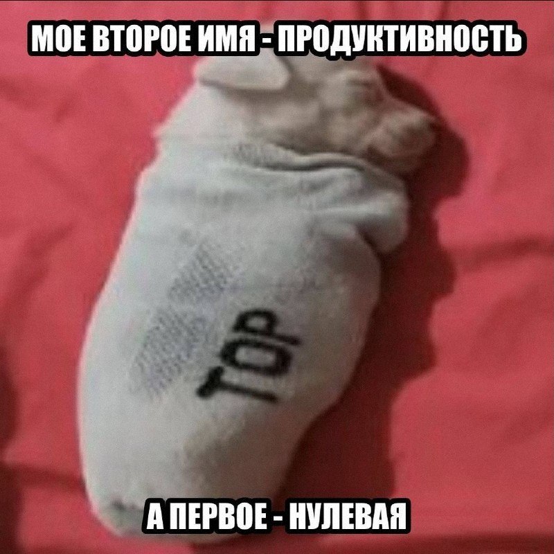 Утренняя подборочка