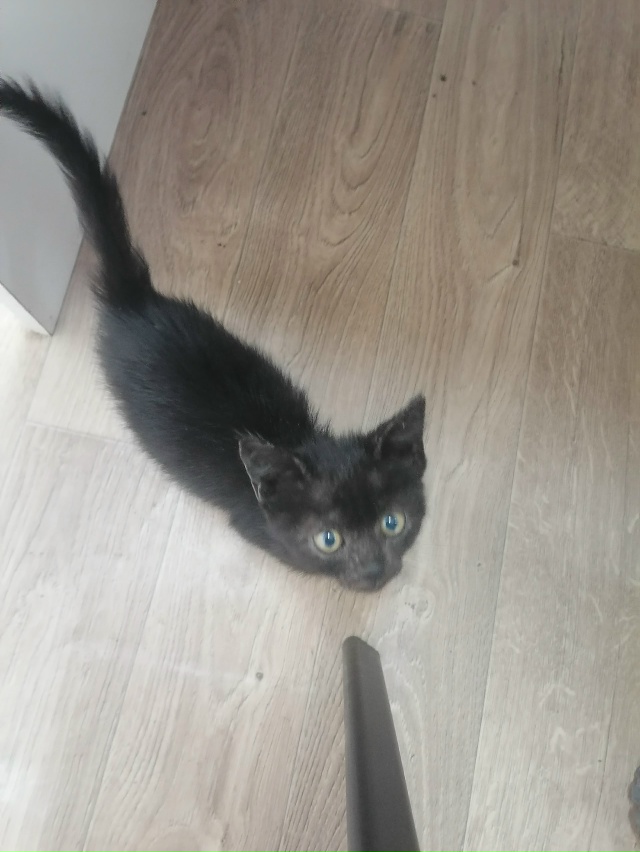 Добрый день, жители прекрасного города Абинска!!! Ночью...