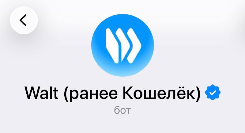Грам (ранее Тон)
Телеграм (ранее ВКонтакте)
Павел Дуров (ранее Поль Дю Ров)