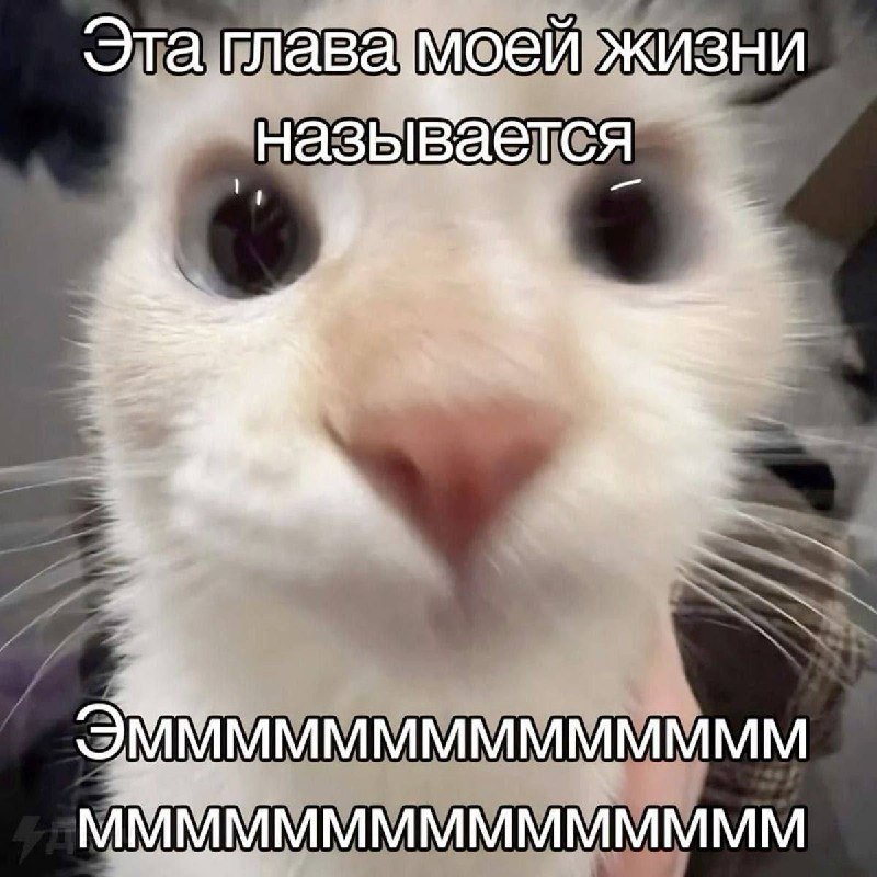 Утренняя подборочка