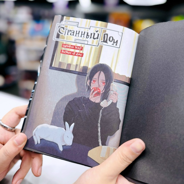 «Я, еще только глянув на план, подумал: какой странный д...