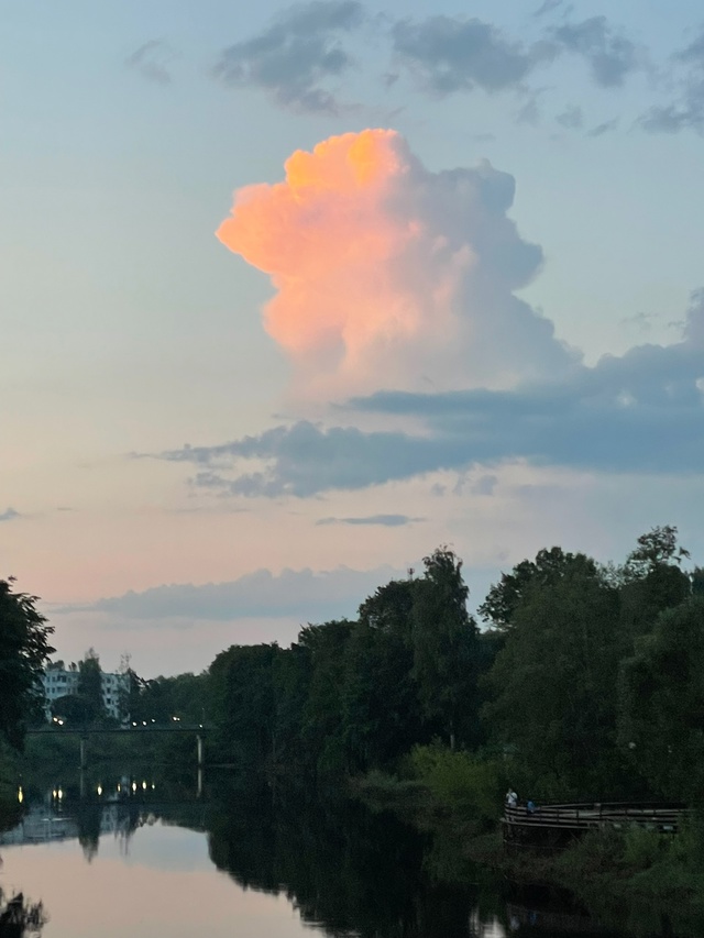 Любимая Луга 💚🧡💛