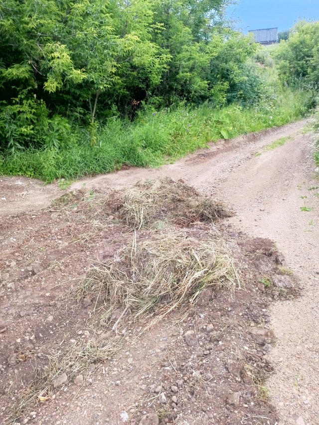 Уважаемая дорожная служба, которая сегодня гребла дор?...