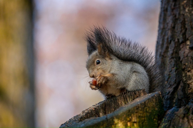 В парке ... 👀