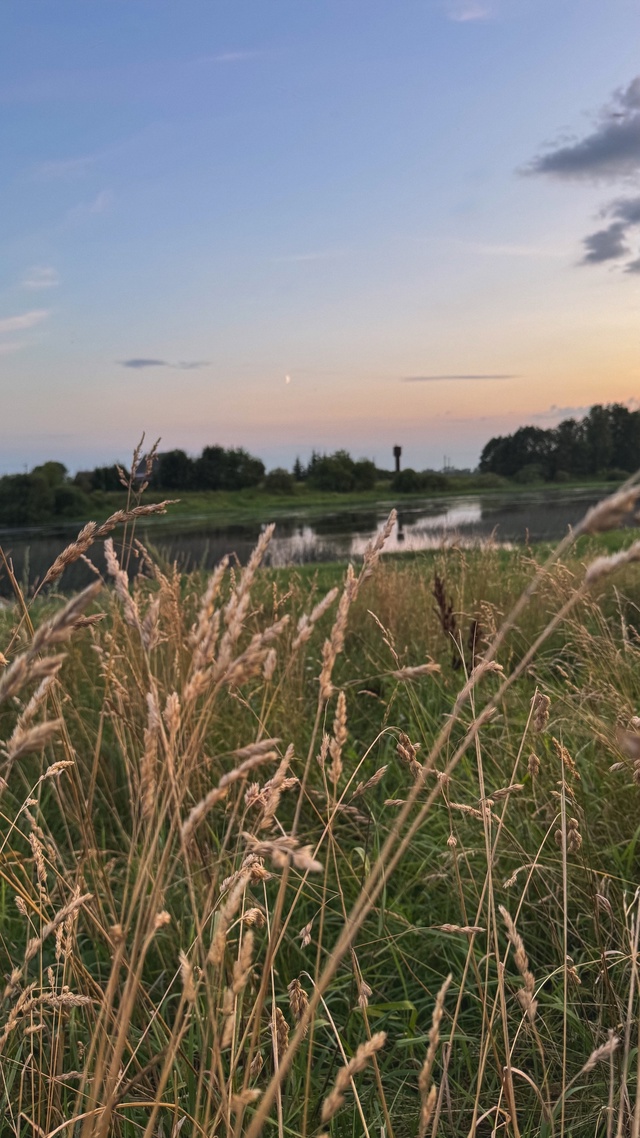 🌙 🌾
Доброе утро ,Остров ☀️
